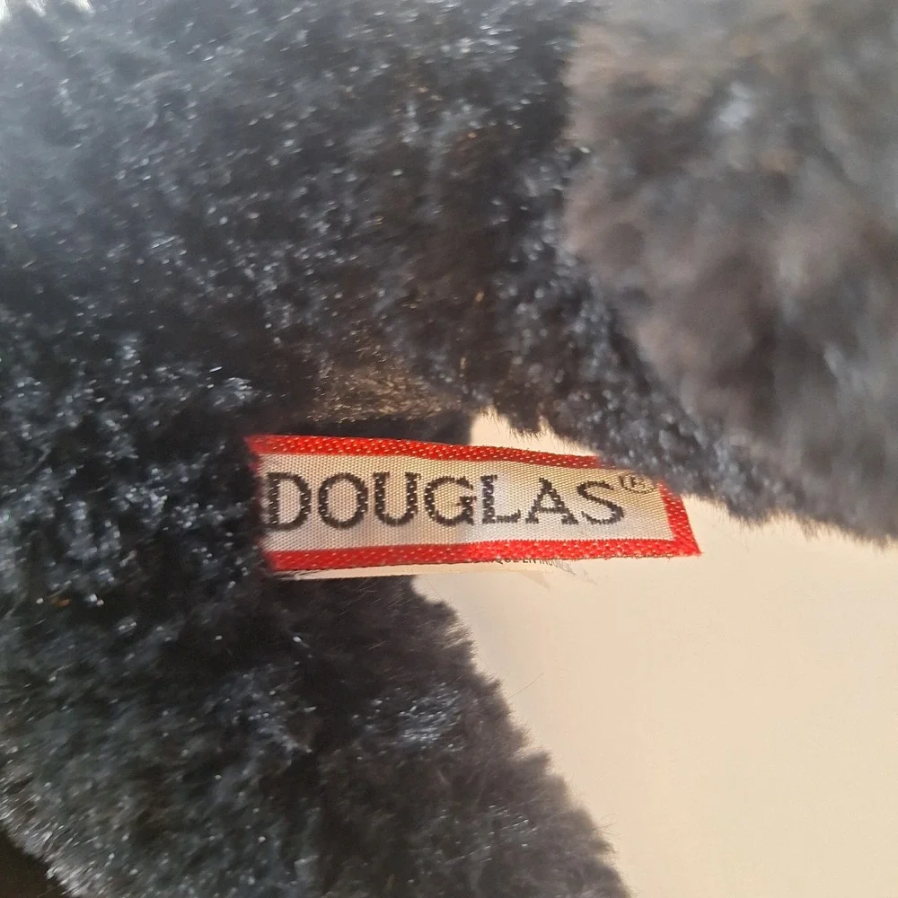 Douglas mini halloween